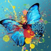 Краски бабочки